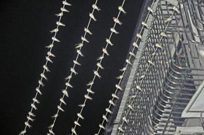 万只燕子齐聚电线原因揭秘 专家:或与通风食物有关 万只燕子齐聚电线原因揭秘 专家:或与通风食物有关