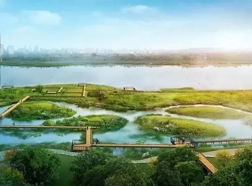 通过了！石家庄滹沱河景观提升 打造“十二景”