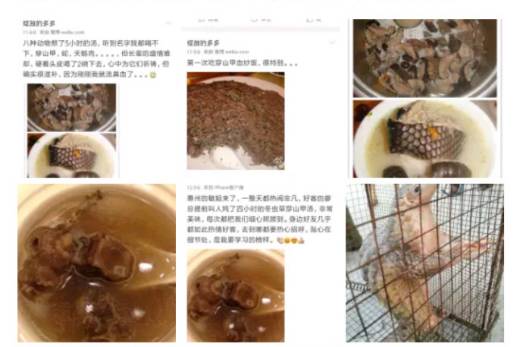 （图据穿山甲公主微博截图）