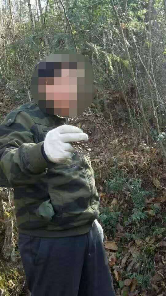 （黄先生巡山拆除盗猎工具 图据黄先生朋友圈）