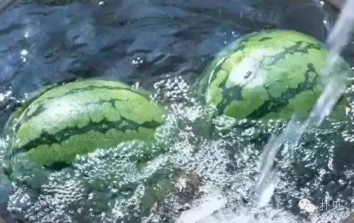 一组河北过夏天的老照片刷爆朋友圈
