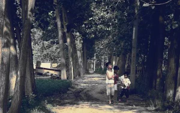 一组河北过夏天的老照片刷爆朋友圈