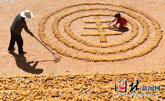 邢台:丰收庆佳节(图) 邢台:丰收庆佳节(图)