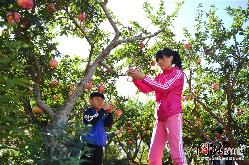 父老乡亲们 节日快乐！  